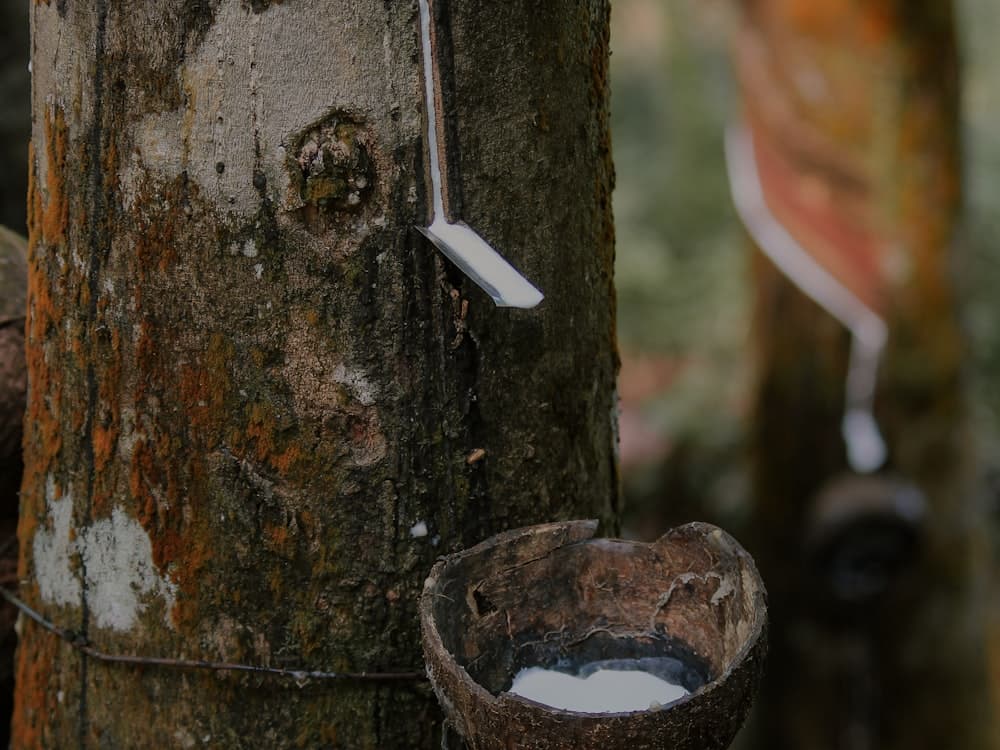 Natural Rubber